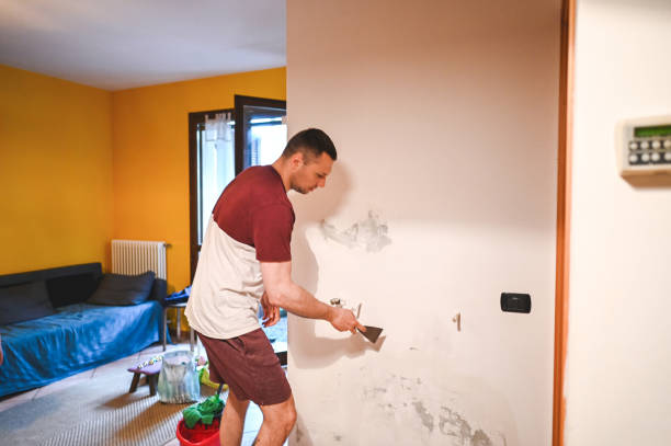 Best Kitchen Mold Remediation in Silver Hill, MD